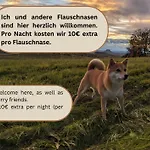 Holiday home Urlaubsmagie - Maisonette-Wohnung Wanderfalke - Saisonaler Pool Lichtenhain (Sebnitz)