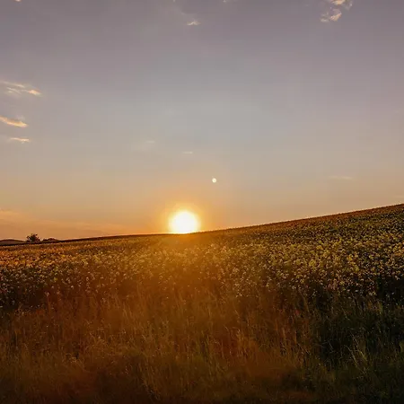 W3 - Urlaubsmagie - Maisonette-wohnung Mit Pool Ferienhaus Lichtenhain (Sebnitz)